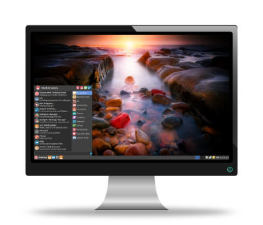 peppermint_monitor_screen_desktop